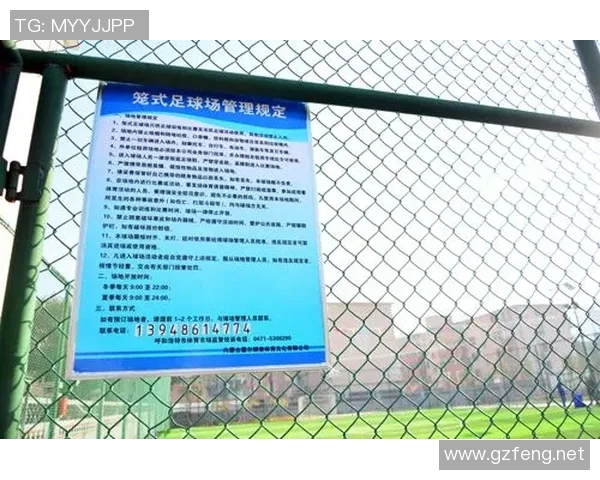 云贵川渝足球明星的崛起与发展探索及其对中国足球的影响